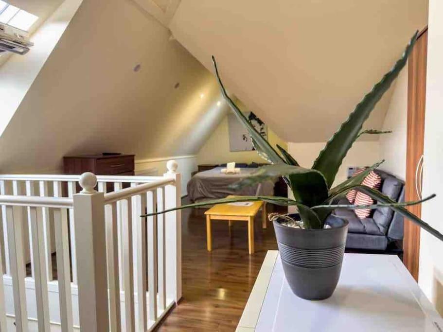 Studio 69 London Exteriör bild